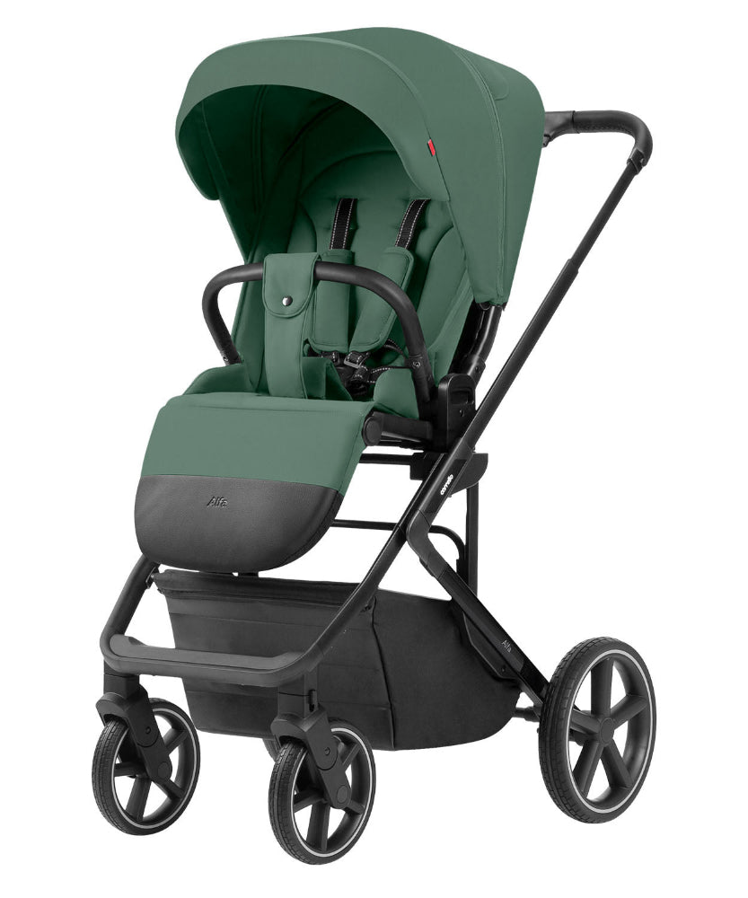 Carucior 2 in 1 Carrello Alfa 2025 CRL-6522 Meadow Green carucior-2-in-1