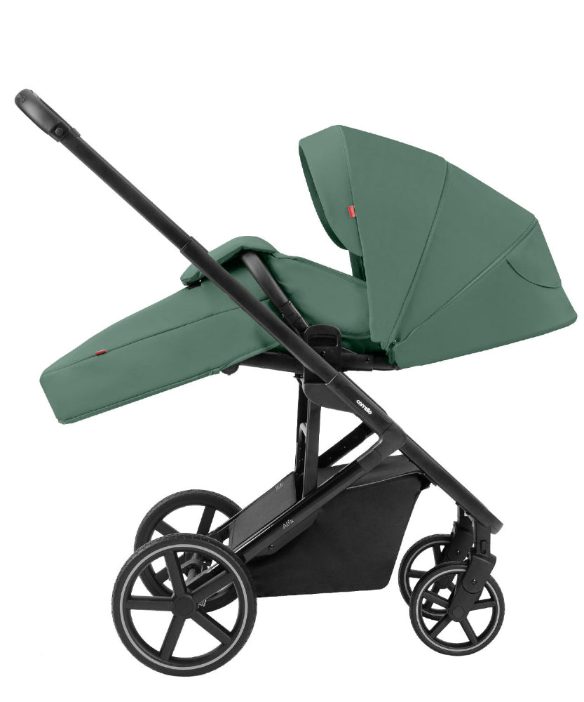Carucior 2 in 1 Carrello Alfa 2025 CRL-6522 Meadow Green carucior-2-in-1