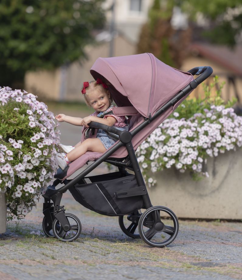 Carucior sport premium maximum 22 Kg Carrello Bravo CRL-8512 Crystal Pink carucior-sport